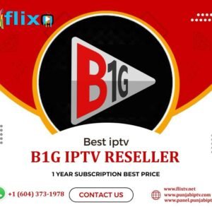 b1g iptv